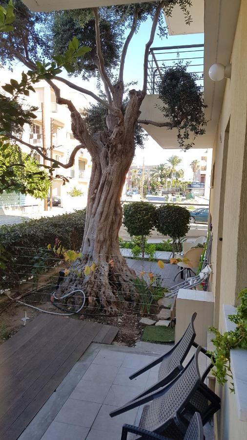 Kerynia Apartments Πάφος Εξωτερικό φωτογραφία